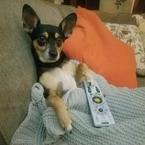 Meet your Posher, Debbie